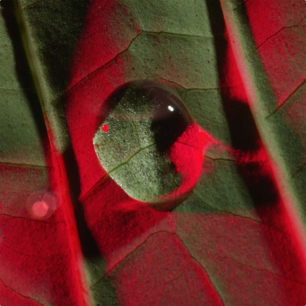 トータル アイ インテンス N 15ml