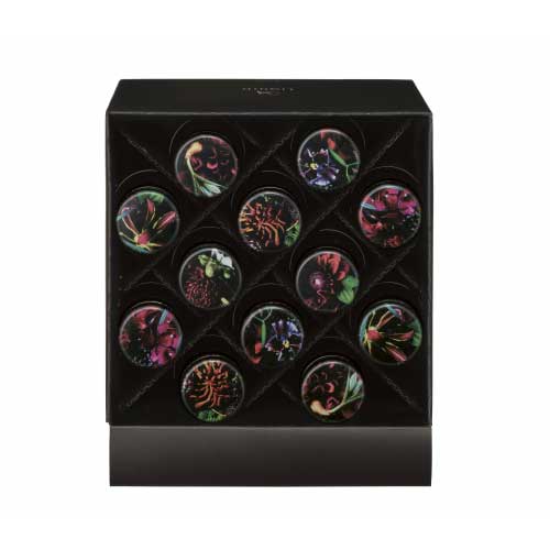 B.A リキッド 20mL×12本