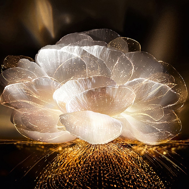 アプソリュ レクストレ ローション 150ml