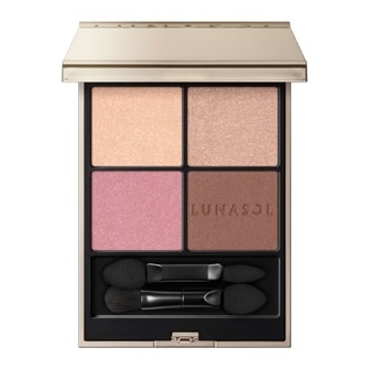 アイカラーレーションN 06